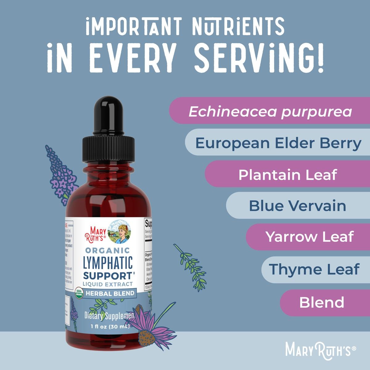 MaryRuth's Lymphatic Support Herbal Blend Liquid Drops - USDA Organic Lymphatic Cleanse - Echinacea & Elderberry - Blue Vervain - Vegan - 30 Servings