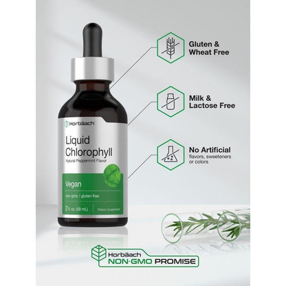 Horbäach Liquid Chlorophyll Drops | 2 oz | Vegan, Non-GMO, and Gluten Free Formula | Natural Peppermint Flavor