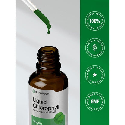 Horbäach Liquid Chlorophyll Drops | 2 oz | Vegan, Non-GMO, and Gluten Free Formula | Natural Peppermint Flavor
