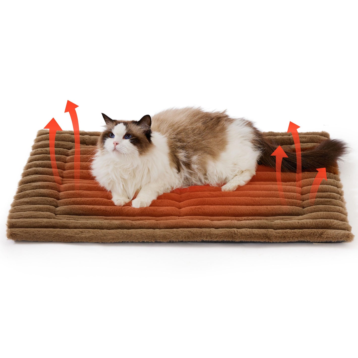 Cat lying on a heated pet mat with heating indicators shown.