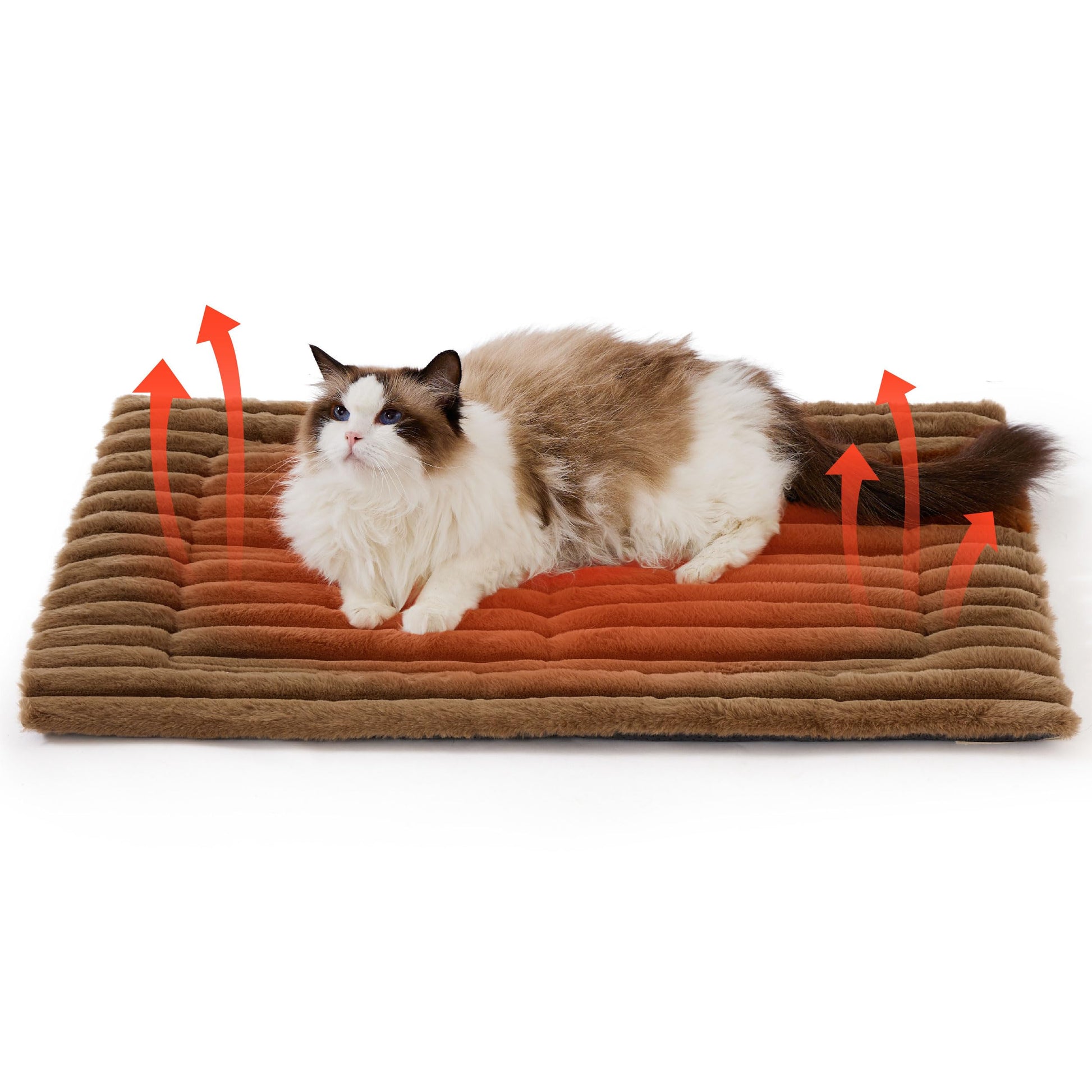 Cat lying on a heated pet mat with heating indicators shown.