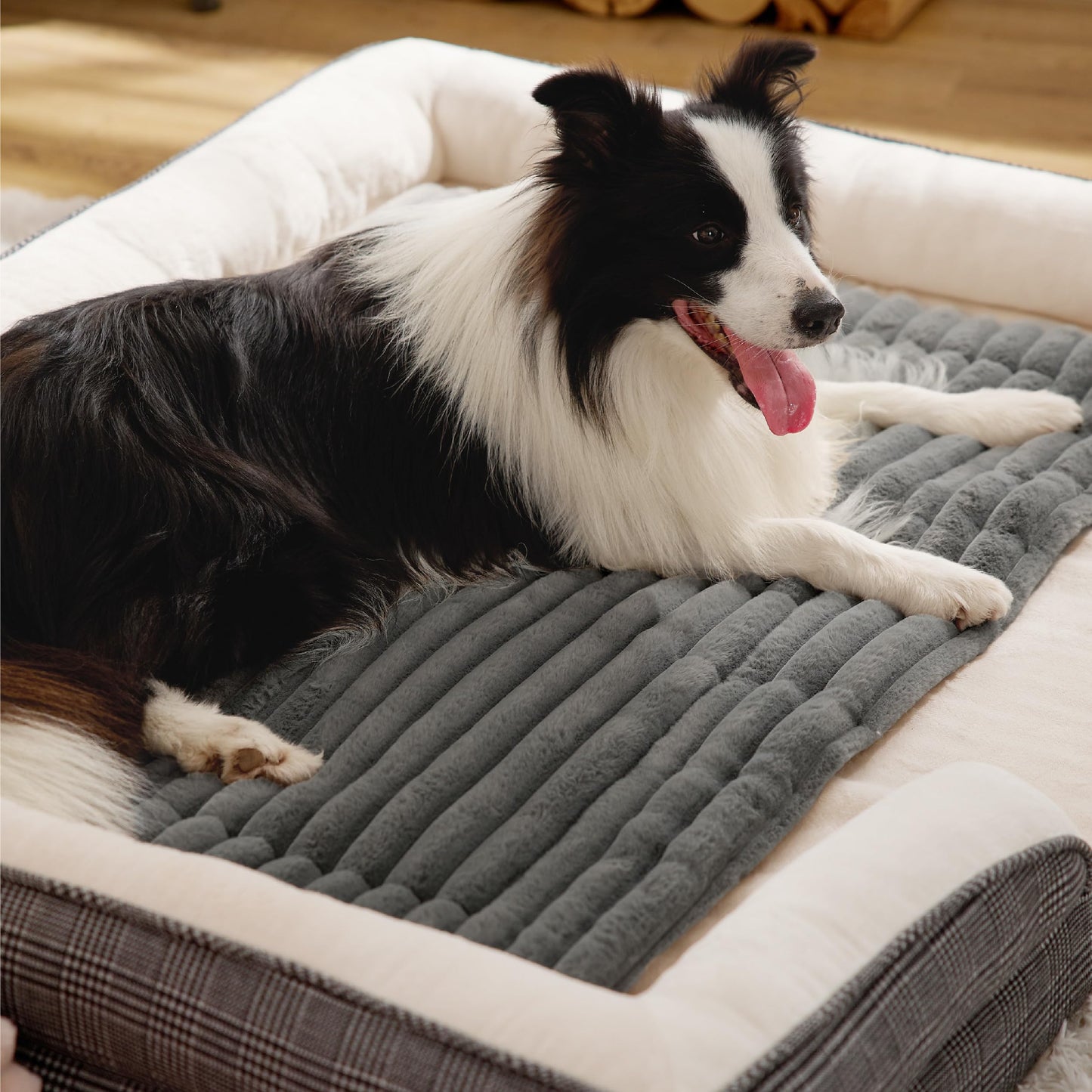 Dog lying on a gray pet bed with a plaid pattern