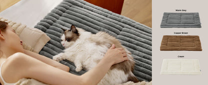 Person petting a cat on a textured gray rug with color swatches on the side.