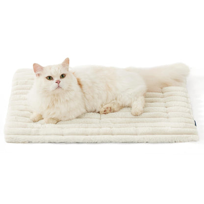 White cat lying on a plush white pet bed against a white background